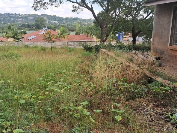Stands & Residential Land
