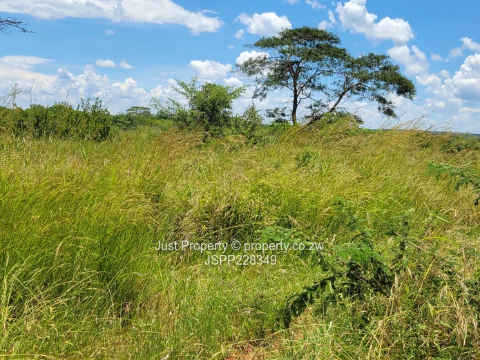 **Prime 2-10  Hectares of Farm Land for Sale along Lower Gweru Road ** (Sole Mandate)