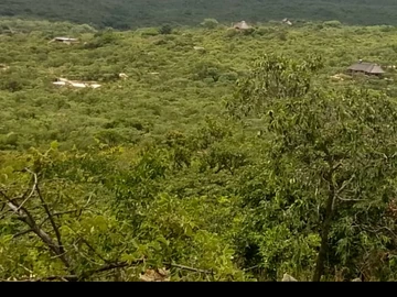 Farm & Agricultural Land