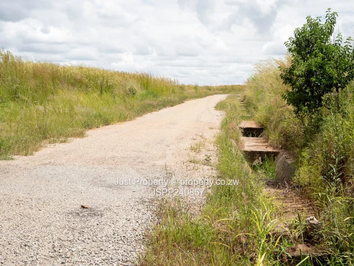 Fully Serviced Norton Stand For Sale
