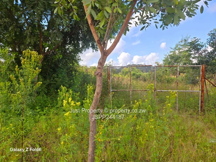Fenced 2300 m² Stand in Marondera — Gravel Road Access (Sole Mandate)