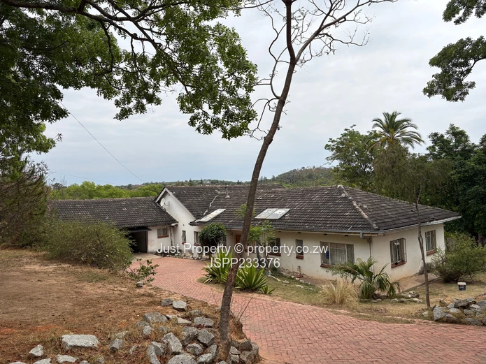 Renovator’s Delight