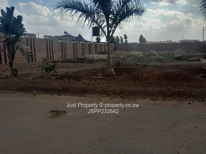 Spacious 1,630 m² Stand — Roadside Palm Trees, Haydon Park