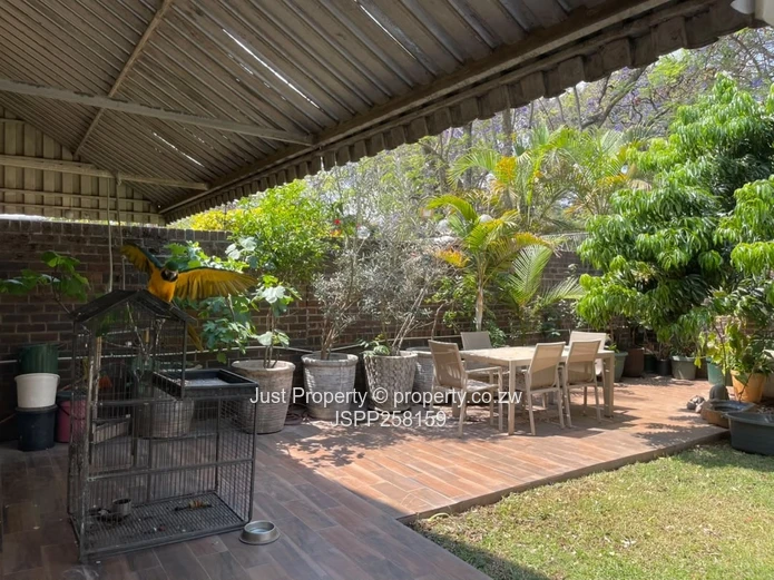 Upper Avenues modern garden flat diplomatic community 