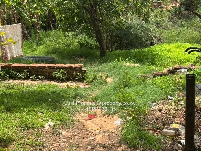 Chinhoyi Ruvimbo Park