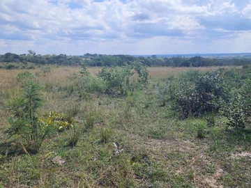 Land