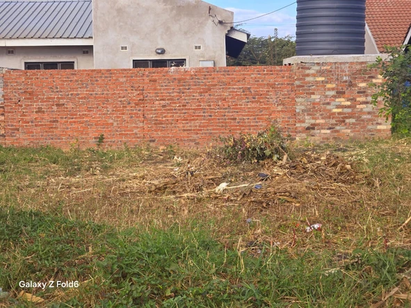 Stands & Residential Land