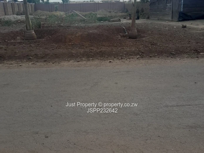 Spacious 1,630 m² Stand — Roadside Palm Trees, Haydon Park