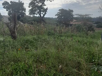 Stand for sale in Gletwin