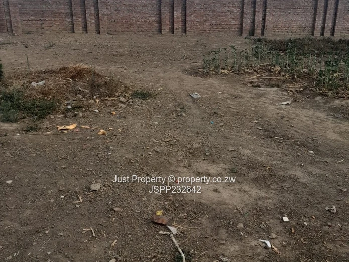 Spacious 1,630 m² Stand — Roadside Palm Trees, Haydon Park