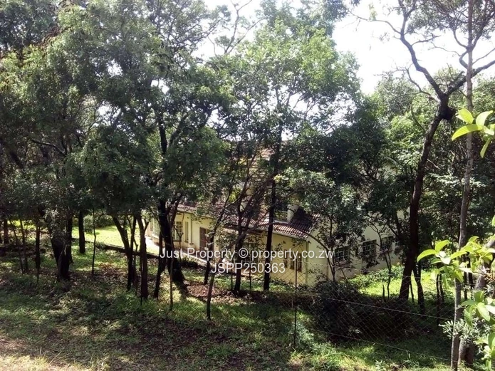 7-Bed Lake Chivero Estate: Your Private Woodland Sanctuary