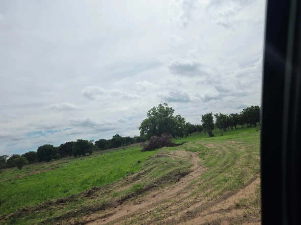 Farm & Agricultural Land