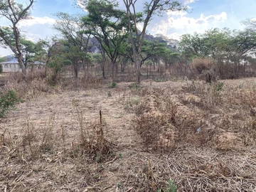 Stands & Residential Land
