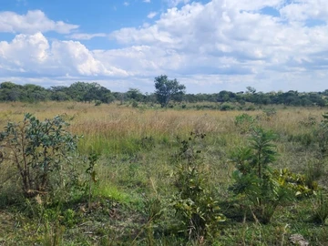 Land