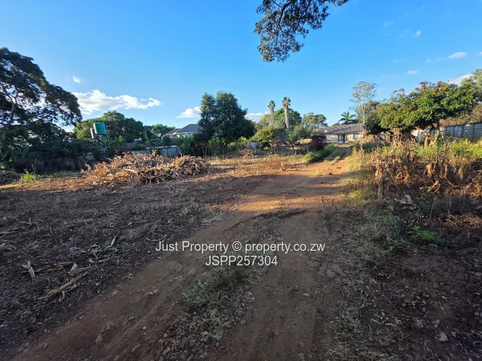 Spacious 2825 m² Stand in Quinnington — Tarred Roads