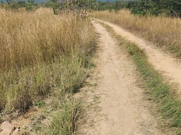Land