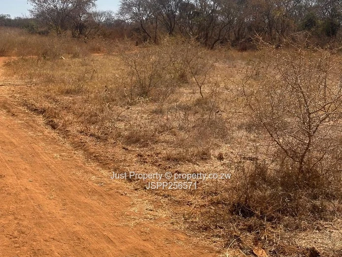 AGRO-RESIDENTIAL PLOTS FOR SALE-group buying opportunity awaits