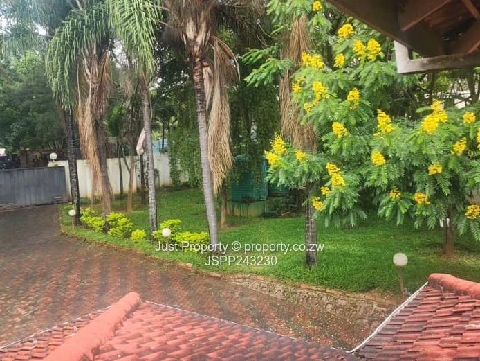 Renovator’s Delight 