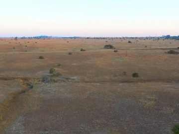 Farm & Agricultural Land