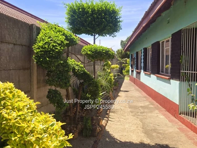 Bright 5-Bed Family Home with Garden & Secure Wall, Katanga (Sole Mandate)