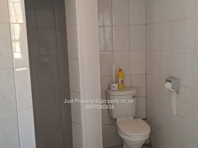 Beautiful 3bed house  Borrowdale : To Rent