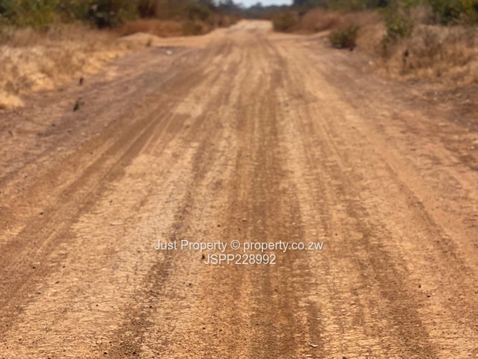 Kadoma Alex Brooke 