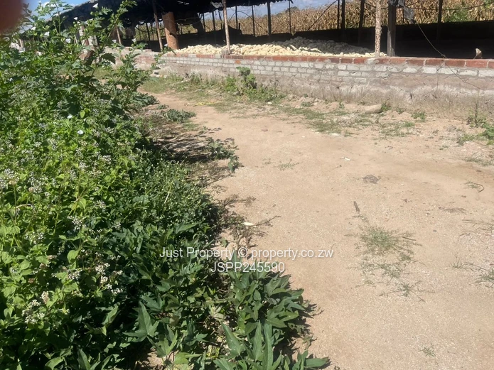 Prime 2.8ha Farm for Sale in Rainham, Harare West (Sole Mandate)