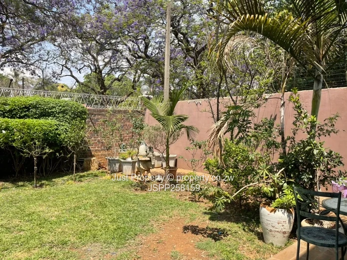 Upper Avenues modern garden flat diplomatic community 