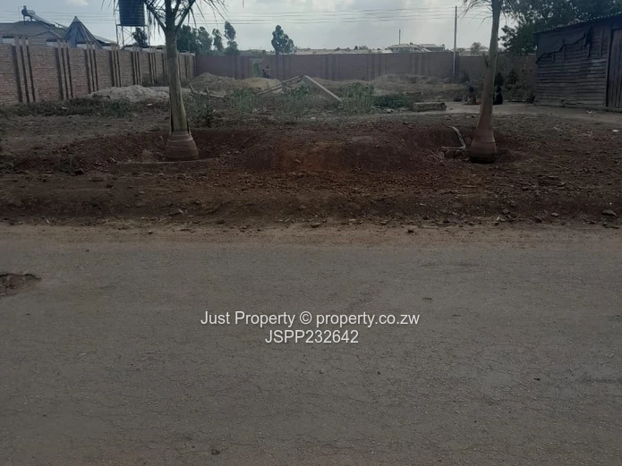 Spacious 1,630 m² Stand — Roadside Palm Trees, Haydon Park